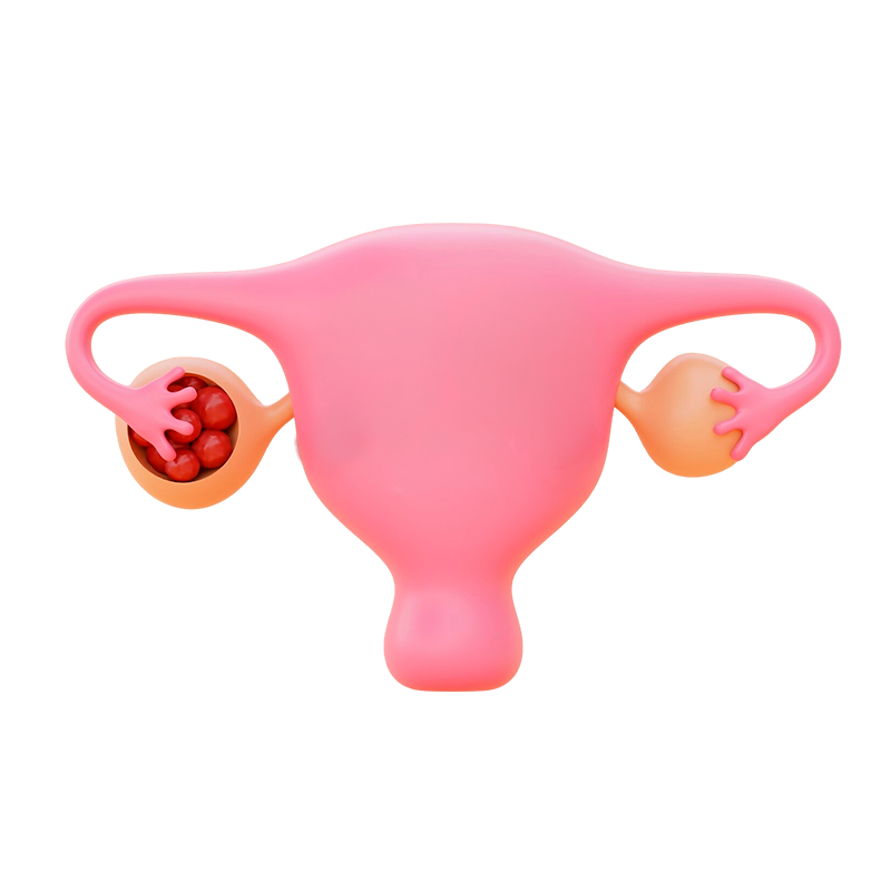 Tratamiento miomas y quistes ginecólogo Los Mochis